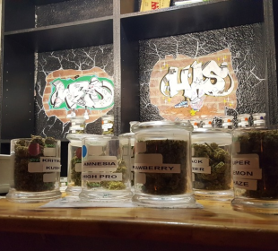 cannabis club Madrid