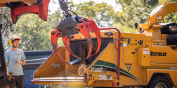 tree health assessment
